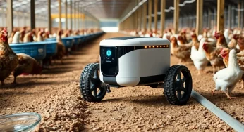 New Autonomous Robot Revolutionizes Poultry Farming